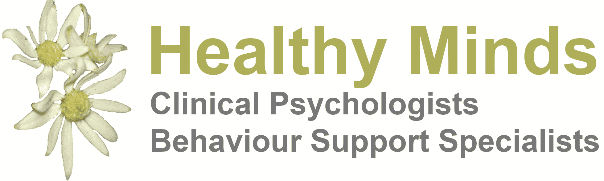 Healthy Minds | Clinical Psychologists Brisbane